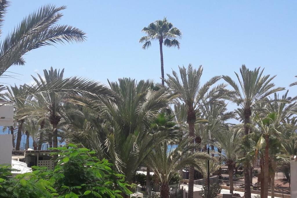 Guayero, Bel appartement à 50m de la mer Los Cristianos  Eksteriør bilde