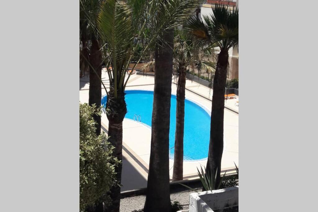 Guayero, Bel appartement à 50m de la mer Los Cristianos  Eksteriør bilde